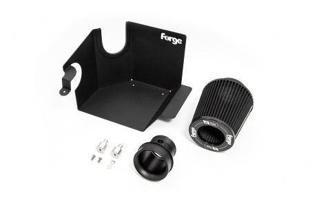 Kit d\'admission carbone Forge Motorsport Ford Fiesta mk8 1,5l ST / Puma ST