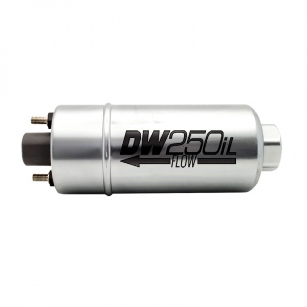 Pompe � essence externe Deatschwerk DW250iL 250lh