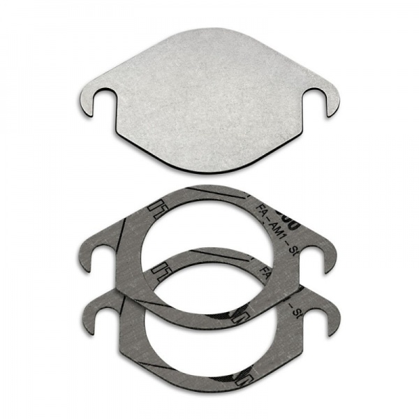 Suppression de vanne EGR pour Opel 1,7l Cdti 110cv / 125cv