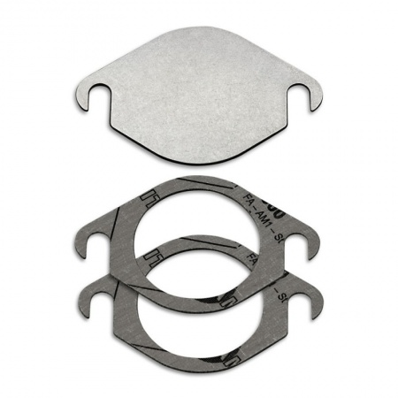 Suppression de vanne EGR pour Opel 1,7l Cdti 110cv / 125cv